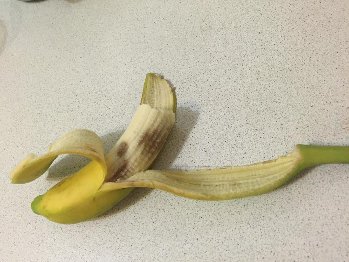 image.jpeg