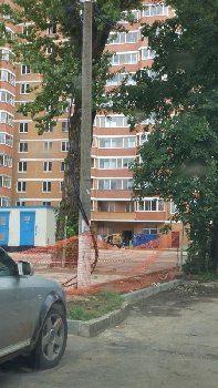 IMG_20160908_114637.jpg