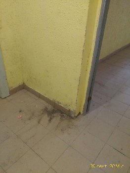 P_20160930_150406_vHDR_On_p.jpg