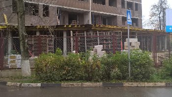 WP_20161007_14_11_25_Pro.jpg