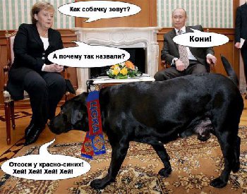 Кони.jpg