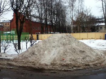 IMG_4923.JPG
