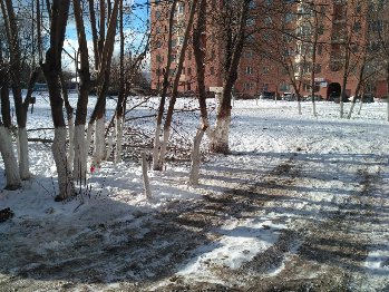 IMG_20170211_115524[1].jpg