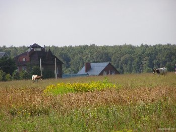 13558.jpg