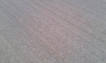IMG_20170520_121954.jpg