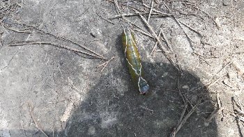 20170802_143037.jpg