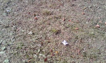 IMG_20170812_111606.jpg