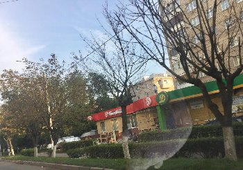 IMG_3969.JPG
