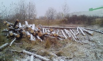 IMG_20171026_155242.jpg
