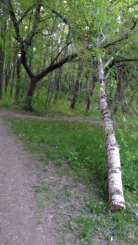 P_20180508_202813.jpg