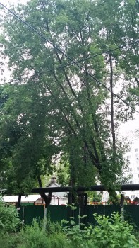 20180531_203918.jpg
