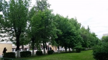 20180531_204014.jpg