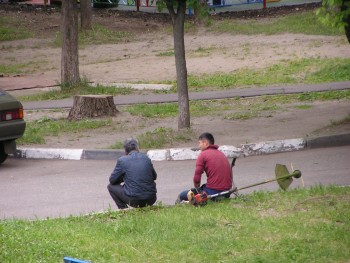 P1010003.JPG