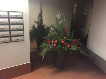 foto.jpg