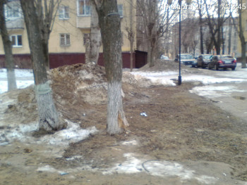 TimePhoto_20190319_071345.jpg