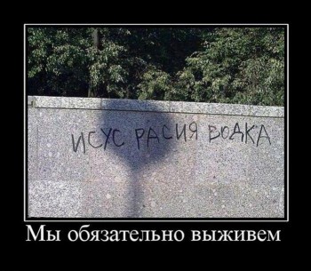 y_c253f959.jpg