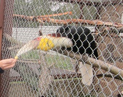 IMG_1090.JPG