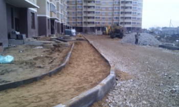 IMAG0456.jpg