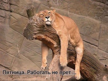 getImageCAY61UKK.jpg