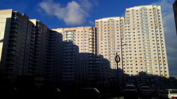 IMG_20121110_152031.jpg