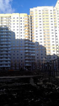 IMG_20121110_152226.jpg