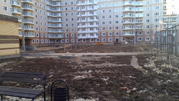IMG_20121110_152232.jpg