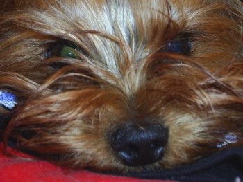 PIC_0007,1.jpg