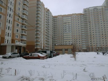 239603781.jpg