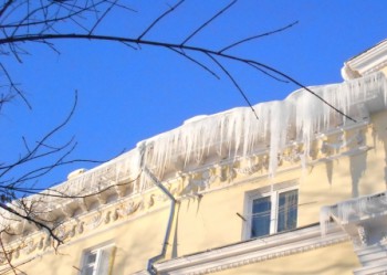 DSCN0719.jpg