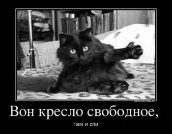 спи.jpg