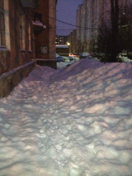 IMG_0630_1.jpg