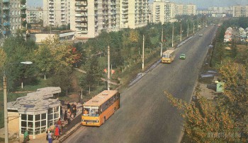 3548.jpg