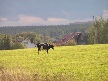 P9160250.JPG