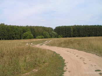 6370.jpg