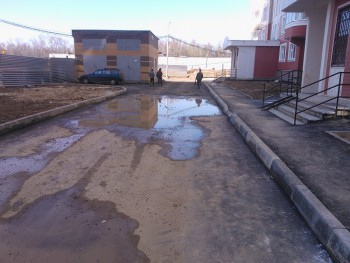 WP_000310.jpg
