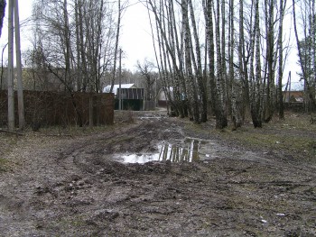 P5010505.JPG