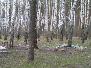 P5010471.JPG