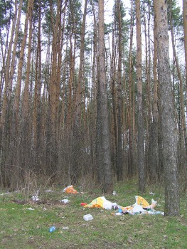 P5010470.JPG