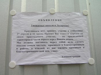 А лес?