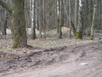 P5010500.JPG