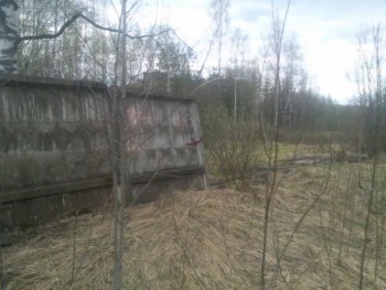 SNC00520.jpg