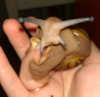 IMAG0076.jpg