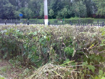 12072012347.jpg