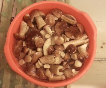 20130731_214420.jpg