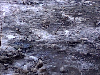 25032010_001.jpg