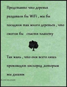 вифидер.jpg