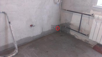 IMAG0958.jpg