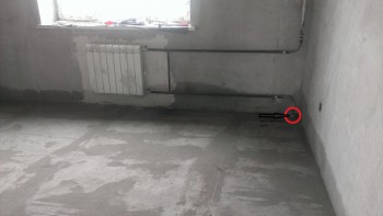 IMAG0959.jpg