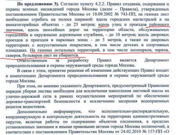 листва.JPG