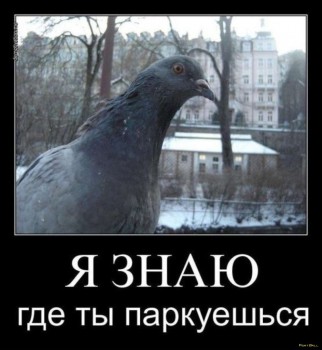 1346509502_aob5ururnhm.jpg